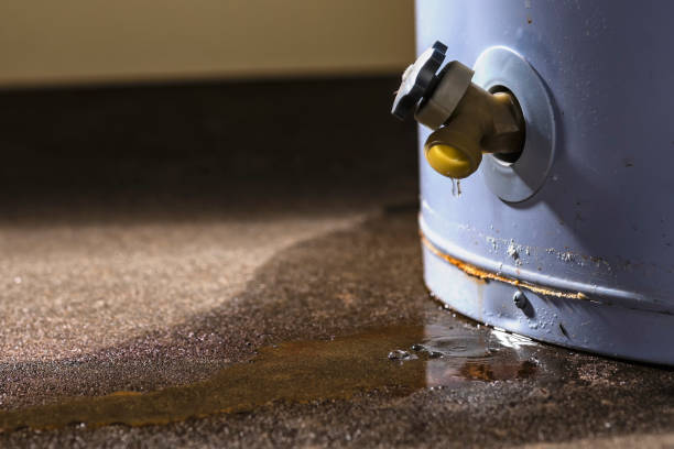 Best Water damage restoration insurance claims  in Cut Bank, MT