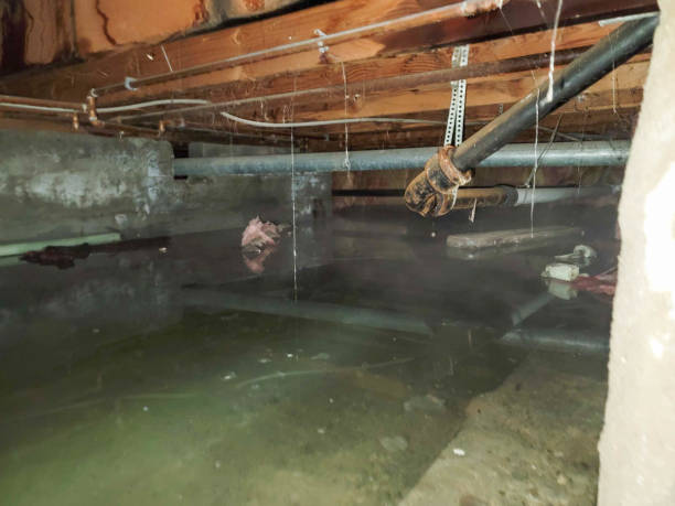 Best Emergency water damage restoration  in Cut Bank, MT