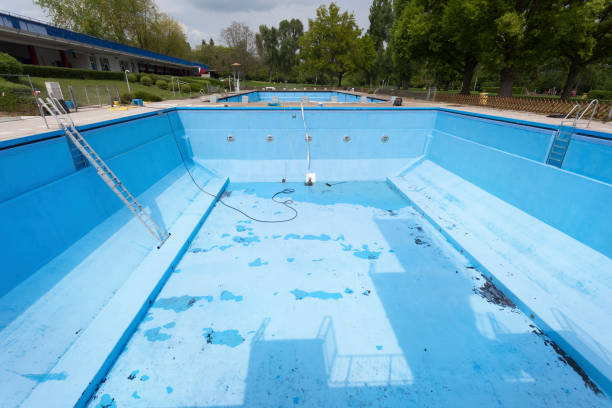 Best Carpet water damage restoration  in Cut Bank, MT