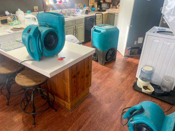 Best Professional water damage repair  in Cut Bank, MT