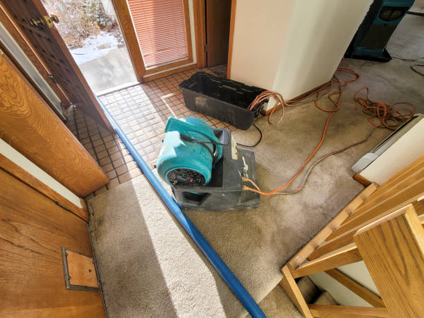 Best Flood restoration services  in Cut Bank, MT