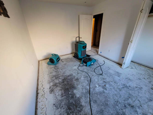 Best Water damage cleanup near me  in Cut Bank, MT
