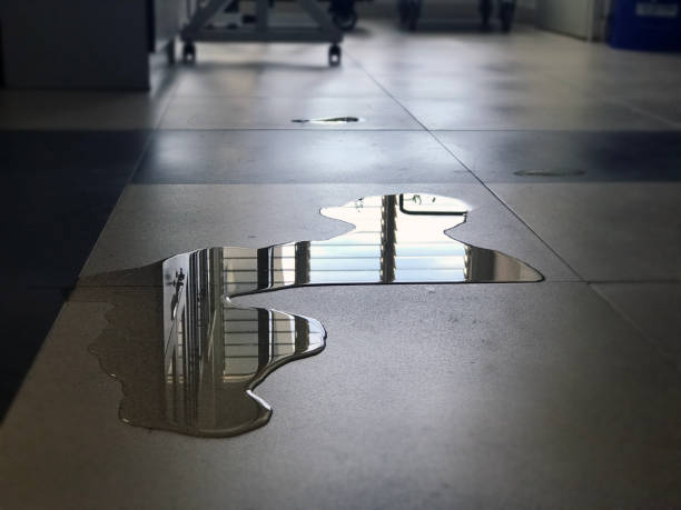 Best Carpet water damage restoration  in Cut Bank, MT