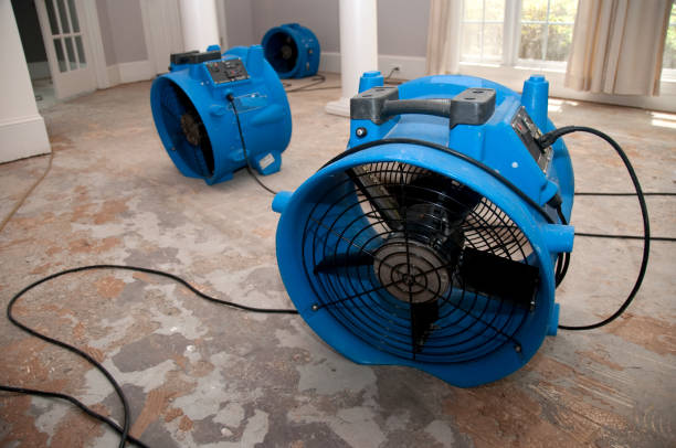 Best Fire Damage Restoration  in Cut Bank, MT