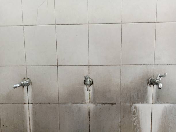 Best Local water damage restoration  in Cut Bank, MT
