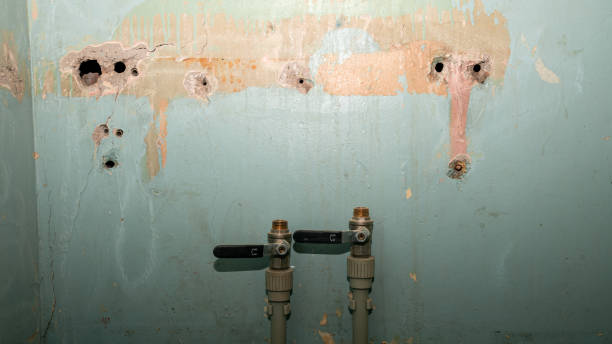 Best Ceiling water damage repair  in Cut Bank, MT