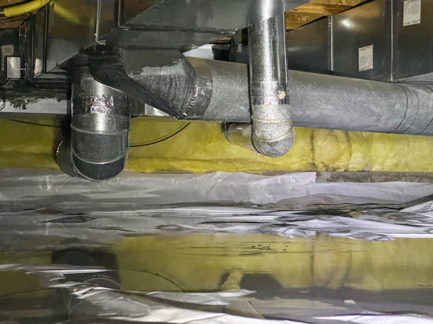 Best Professional water damage repair  in Cut Bank, MT