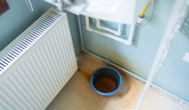 Best Water damage restoration near me  in Cut Bank, MT