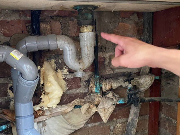 Best Water damage mitigation services  in Cut Bank, MT