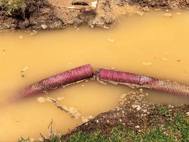 Best Water damage restoration company  in Cut Bank, MT