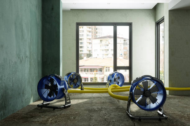 Best 24/7 water damage repair  in Cut Bank, MT